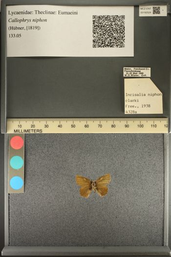 Media type: image;   Entomology 192524